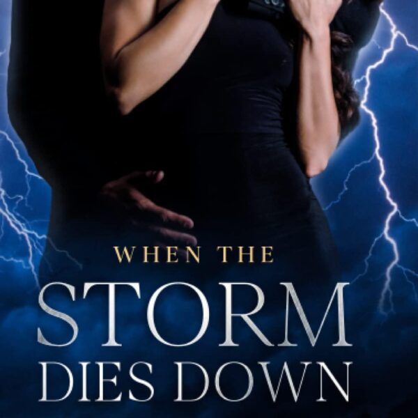When the Storm Dies Down (The Storm 3)